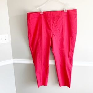 LOFT PLUS Marisa Skinny Pant (Size 24)